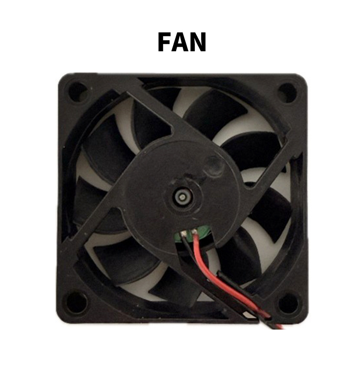 fan